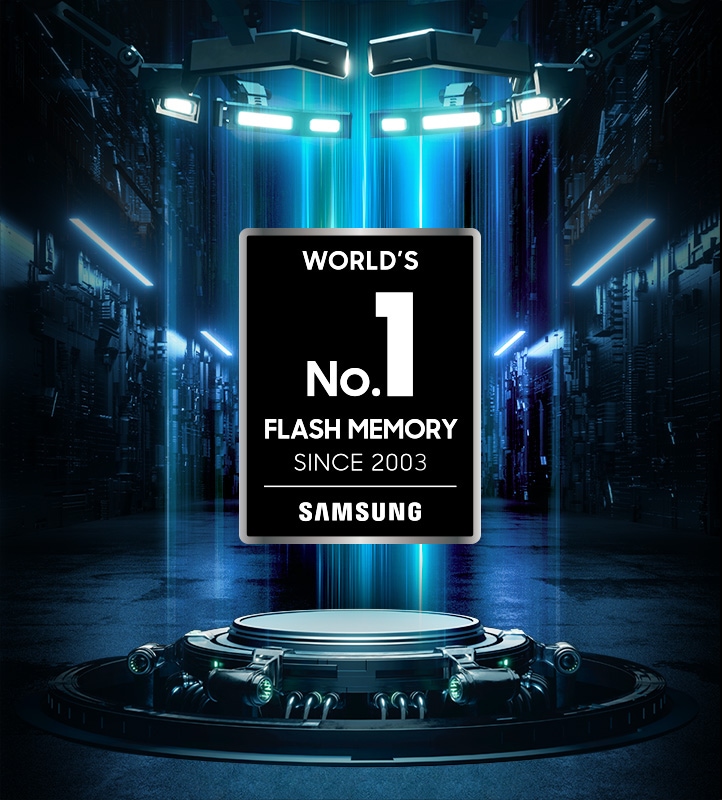 Logo certificato della memoria flash Samsung n. 1 al mondo