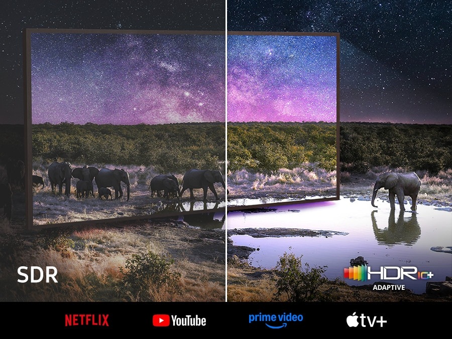 Side-by-side comparison of TV image. It is brighter and crisper with HDR 10+ ADAPTIVE technology logo than in SDR version.