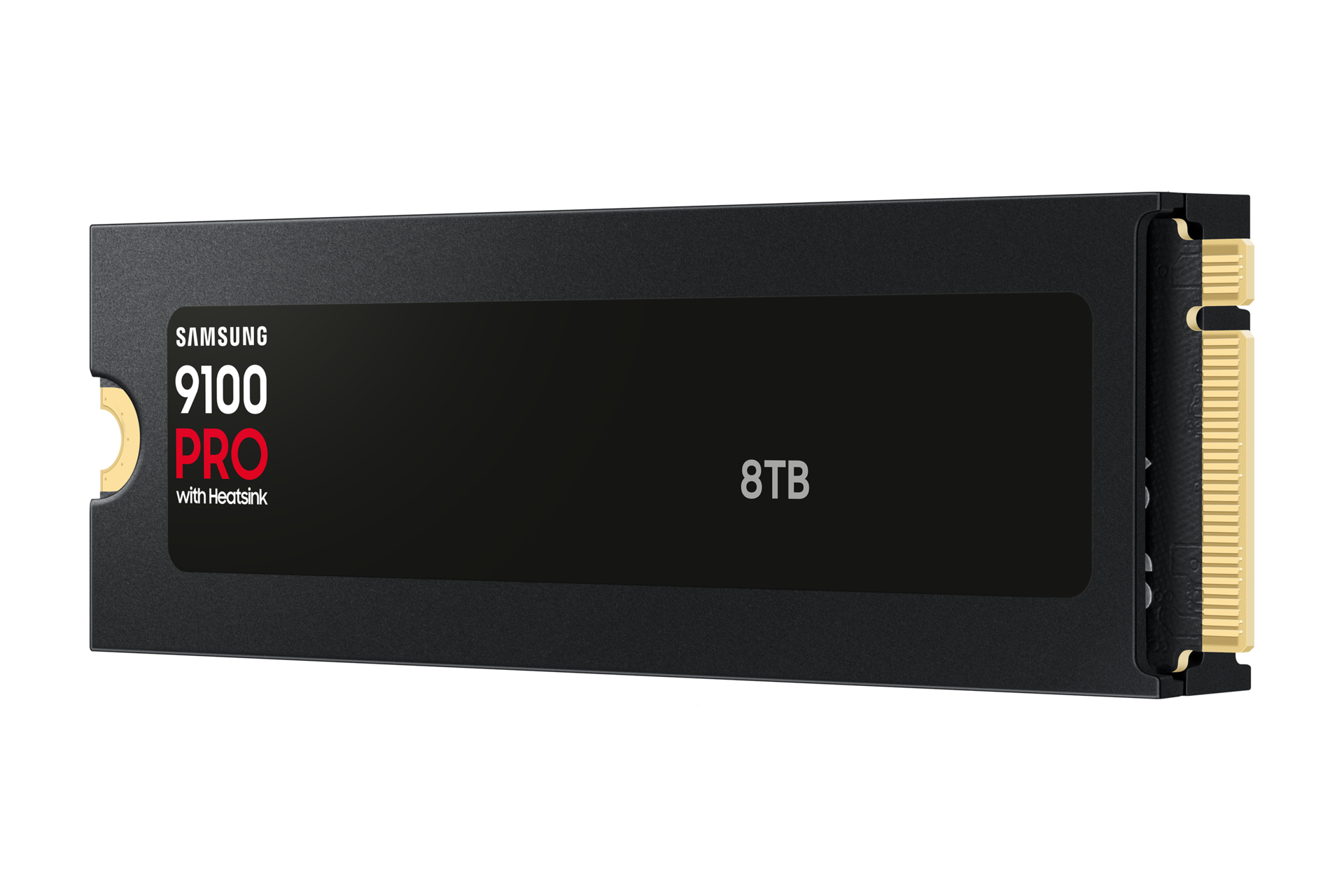9100 PRO NVMe con dissipatore di calore SSD interno 8TB R-Perspective Black 