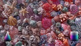 A comparison between partial and 100% color volume are shown using the picture of ocean seashells. A partial color volume graphic overlays the less colorful image and a full color volume graphic overlays the more colorful side.