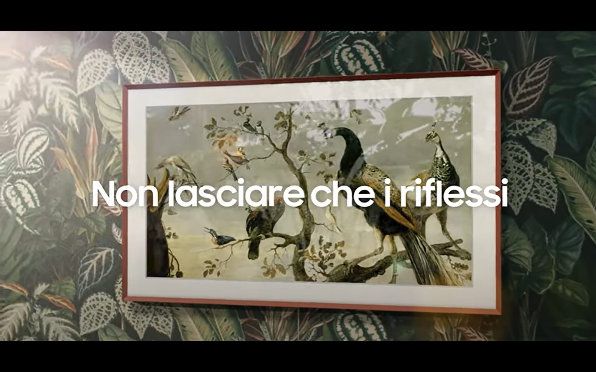 Matte Display: scoprilo