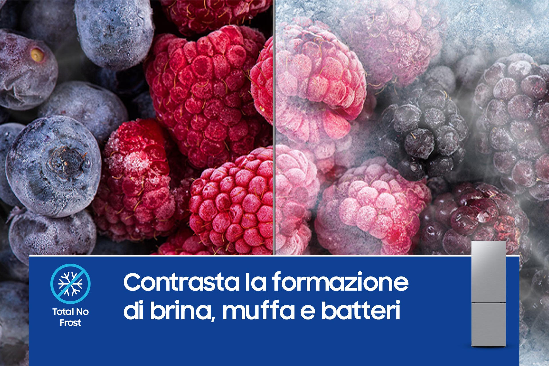 RB33B612ESA/EF 