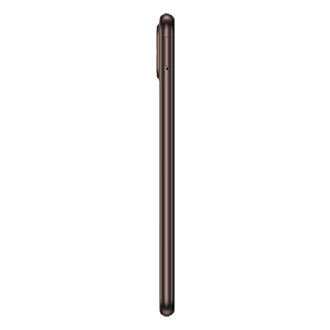 side-l Brown