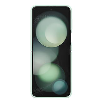 back Mint