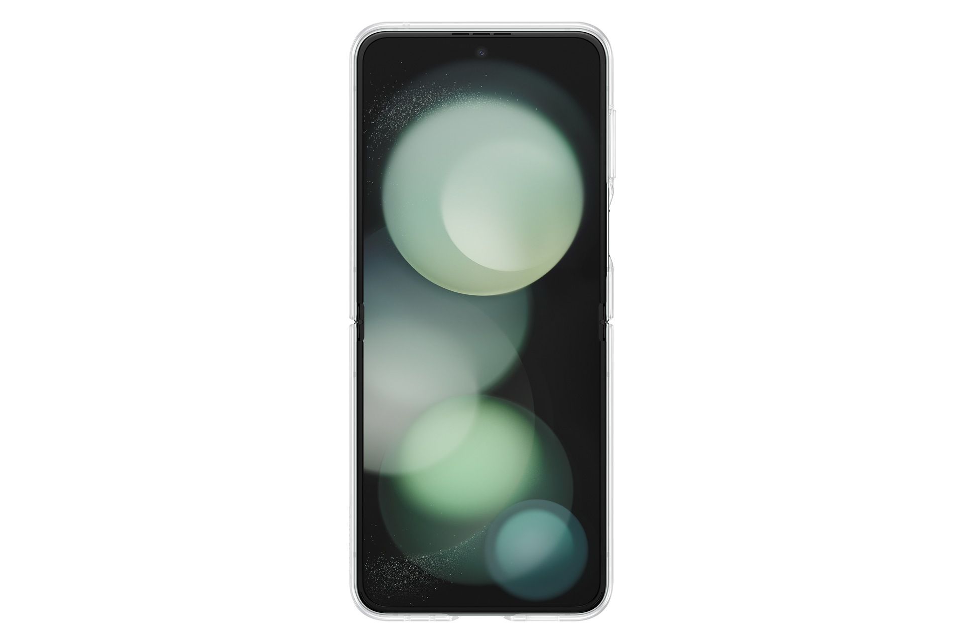 back Transparent