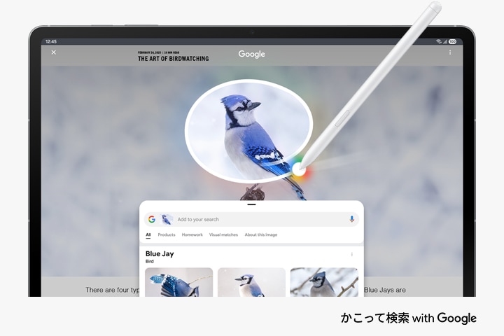 Samsung Galaxy Tab S10 FE | 大画面のAIタブレット｜Samsung Japan公式