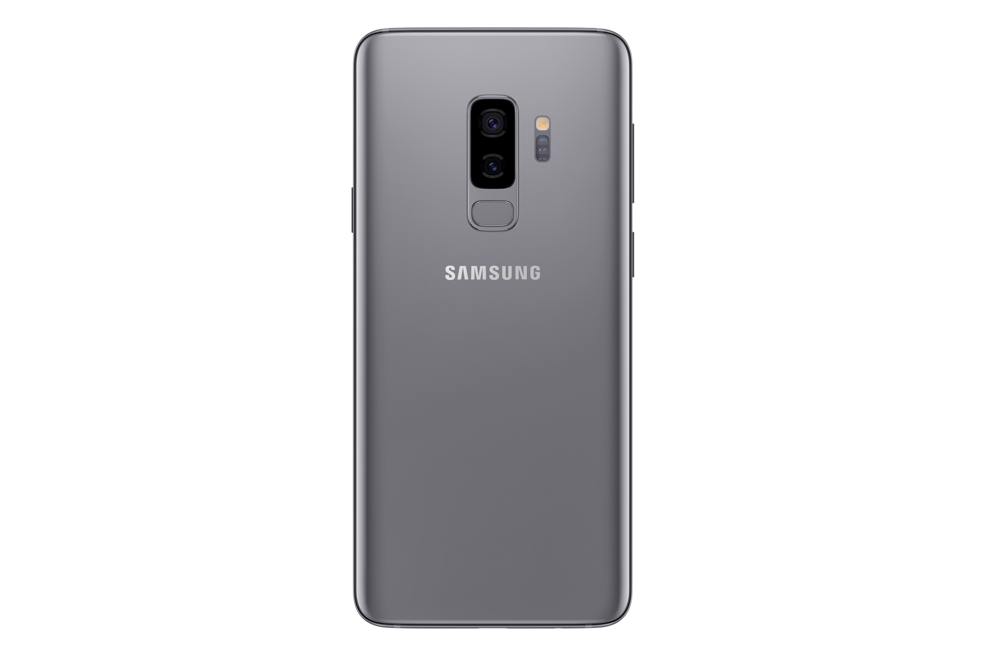 back-gray Gray