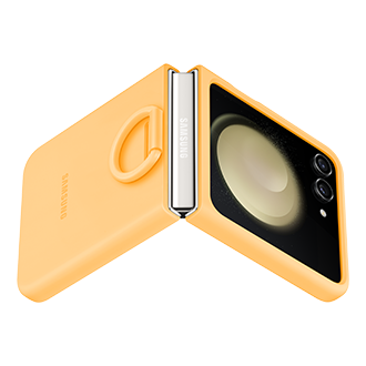 dynamic Apricot