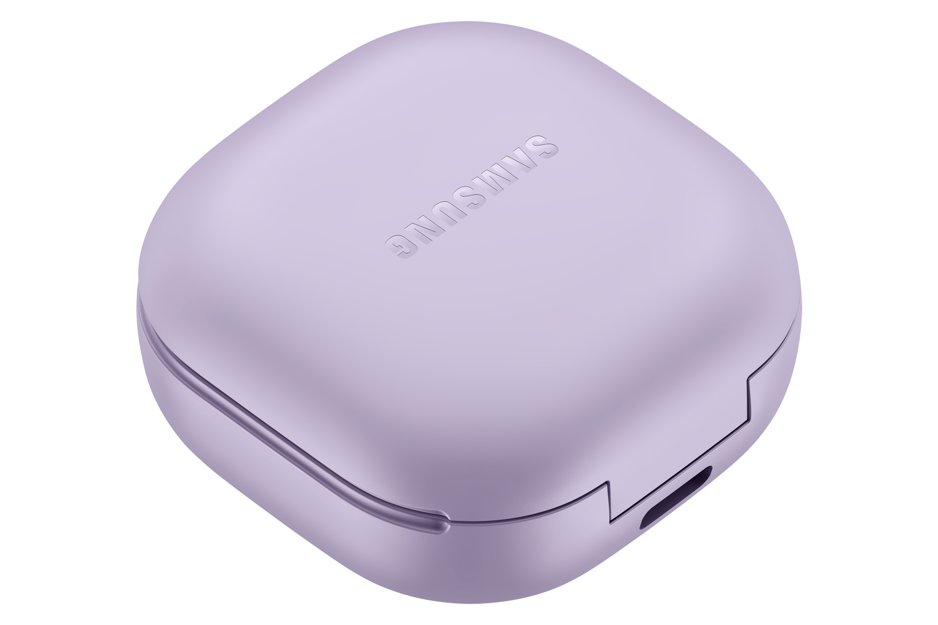 case-l-dynamic Bora Purple