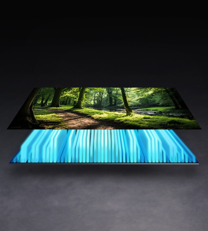 Подсветка телевизора и экран разделены, при этом подсветка освещает экран, создавая яркую картину леса.