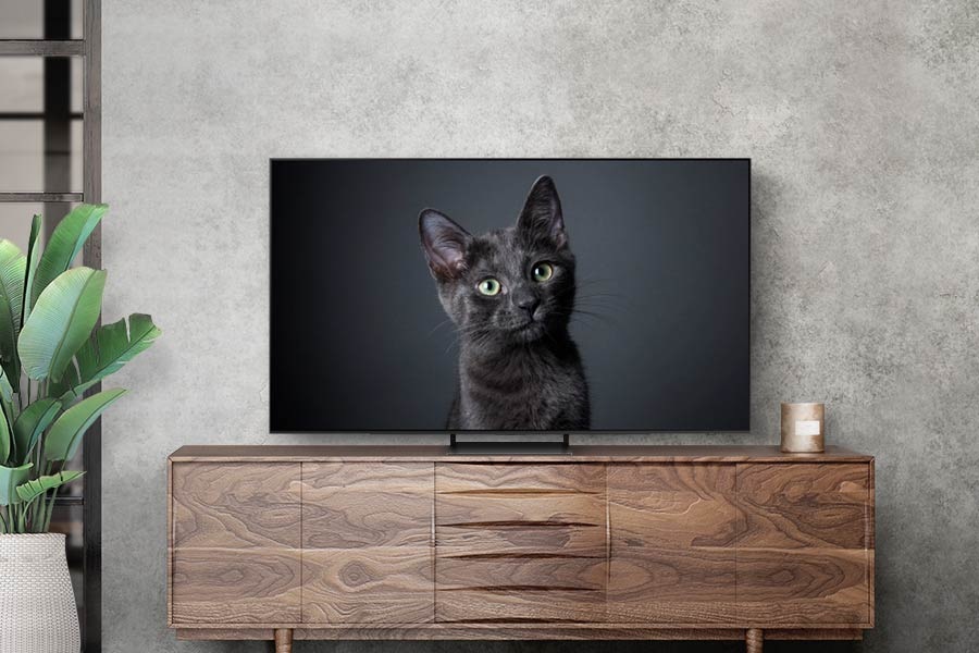 OLED is displayed in a living room.