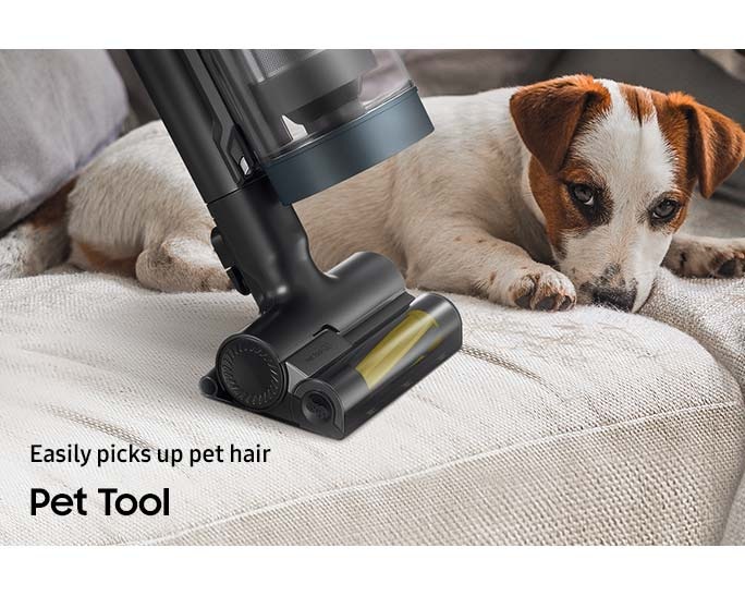 A Bespoke Jet with the Pet Tool cleans a sofa as a dog sits next to it. Easily picks up pet hair Pet Tool