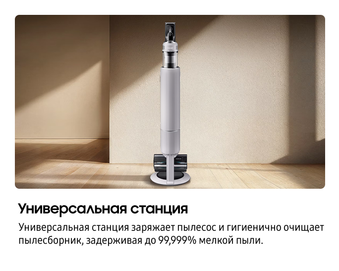 VS80F28DLP/EV 
