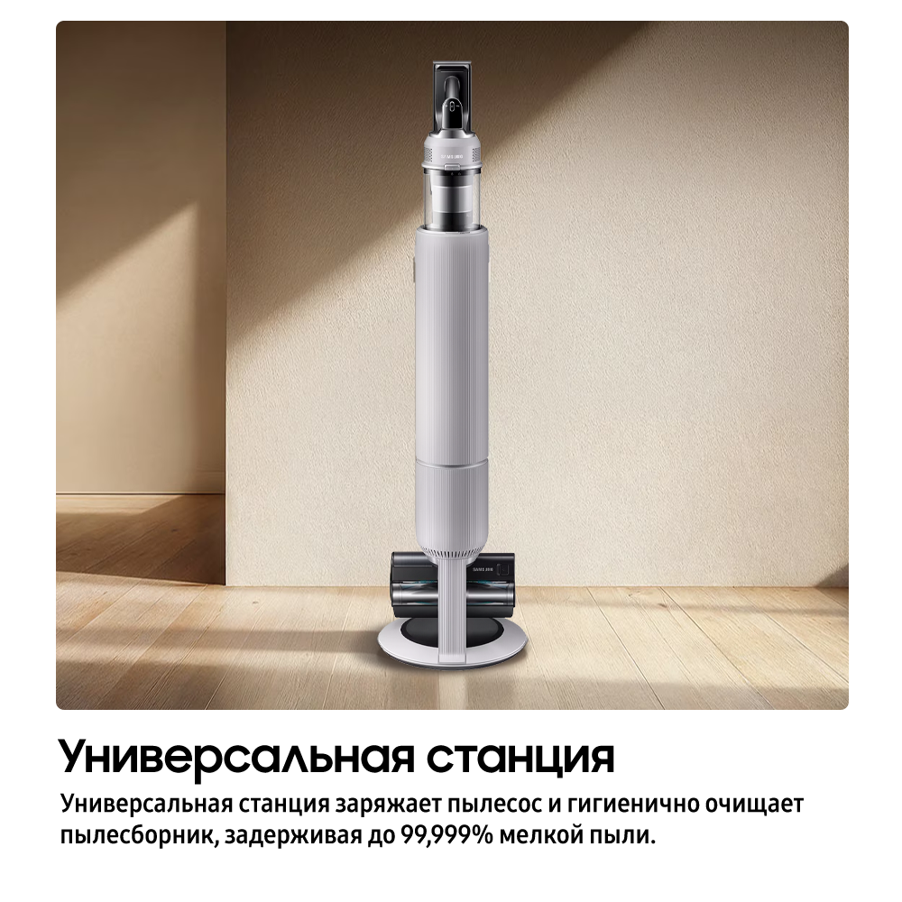 VS80F28DLP/EV 