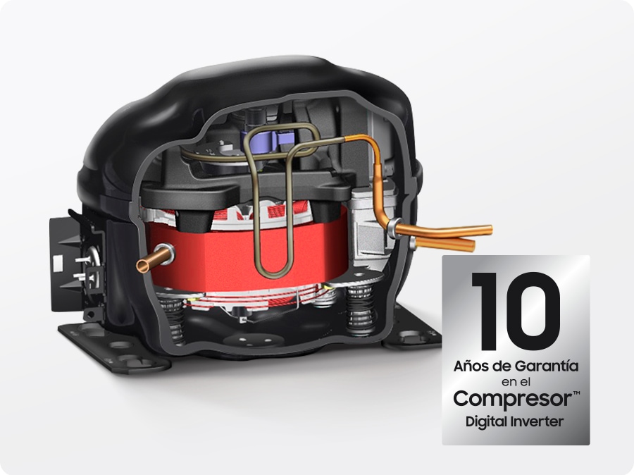 The refrigerator motor has a 10-year warranty for the Digital Inverter compressor.