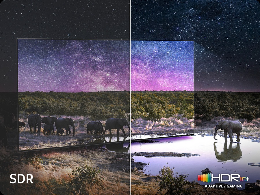 Los elefantes caminan por un campo amplio. La escena después de aplicar la tecnología HDR 10+ ADAPTIVE/GAMING es mucho más brillante y nítida que la versión SDR.