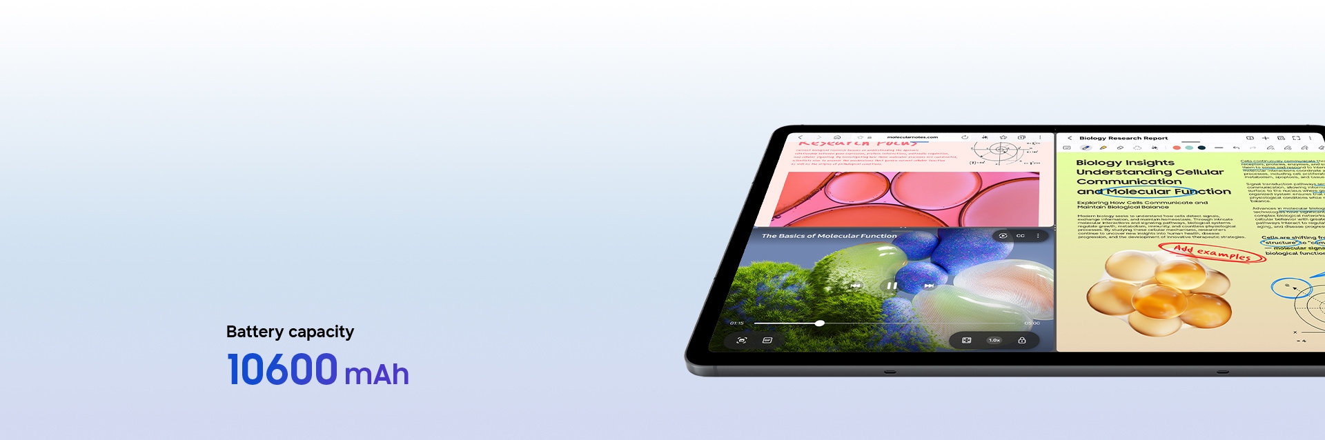 Batería de Galaxy Tab S12+