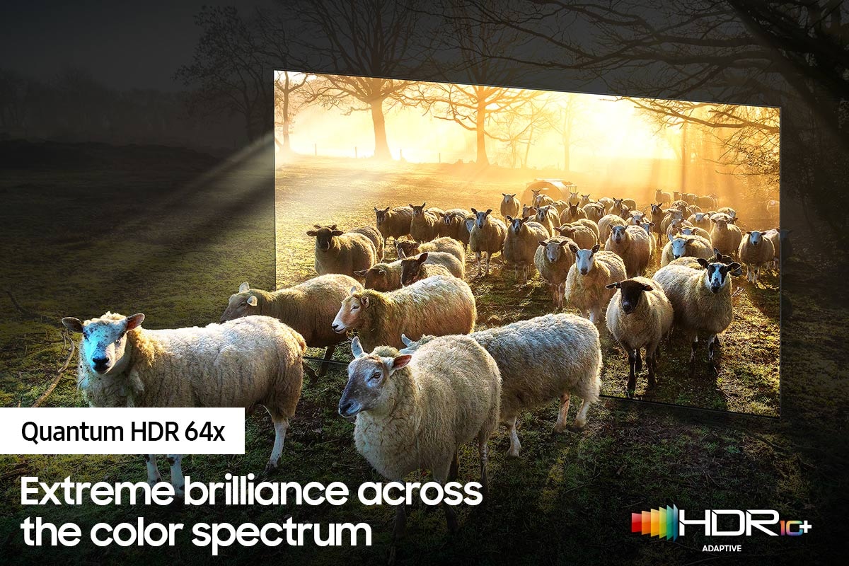 QN900A_Feature_Quantum HDR 64x