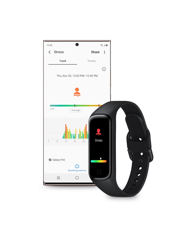 galaxy fit 2