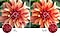 L'image de la fleur à droite par rapport à celle de gauche montre une résolution d'image de meilleure qualité créée par la technologie 4K UHD.