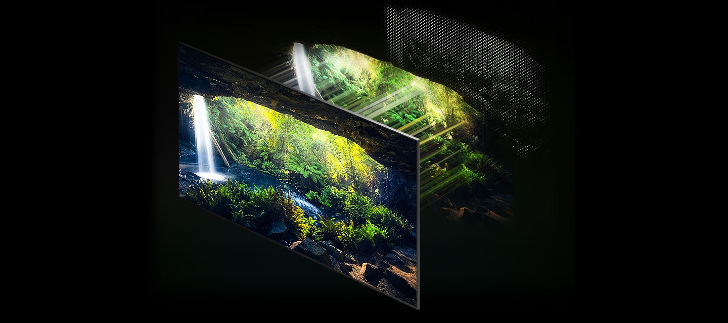 A beautiful forest screen seen from inside a cave is displayed very clearly through Quantum Mini LEDs in the back that are accurately controlling light.