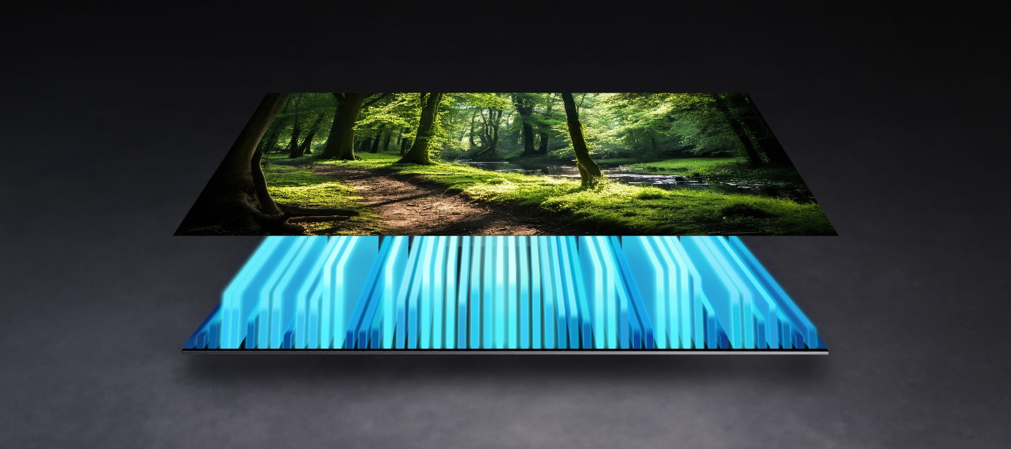 A TV backlight and screen are separated out, with the backlight illuminating the screen to depict a vivid scene of a forest.
