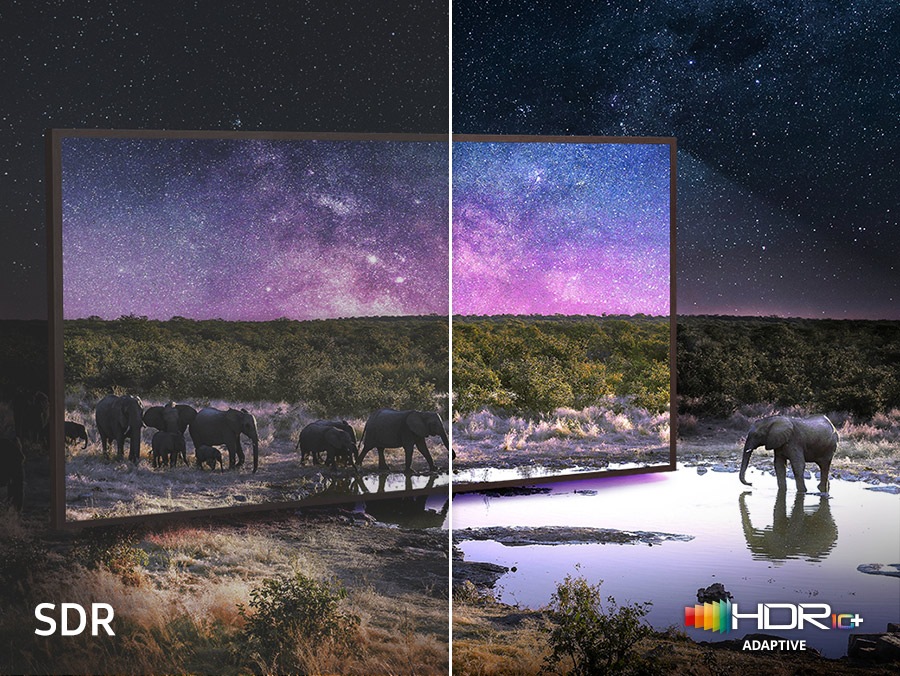 Side-by-side comparison of TV image. It is brighter and crisper with HDR 10+ ADAPTIVE technology logo than in SDR version.