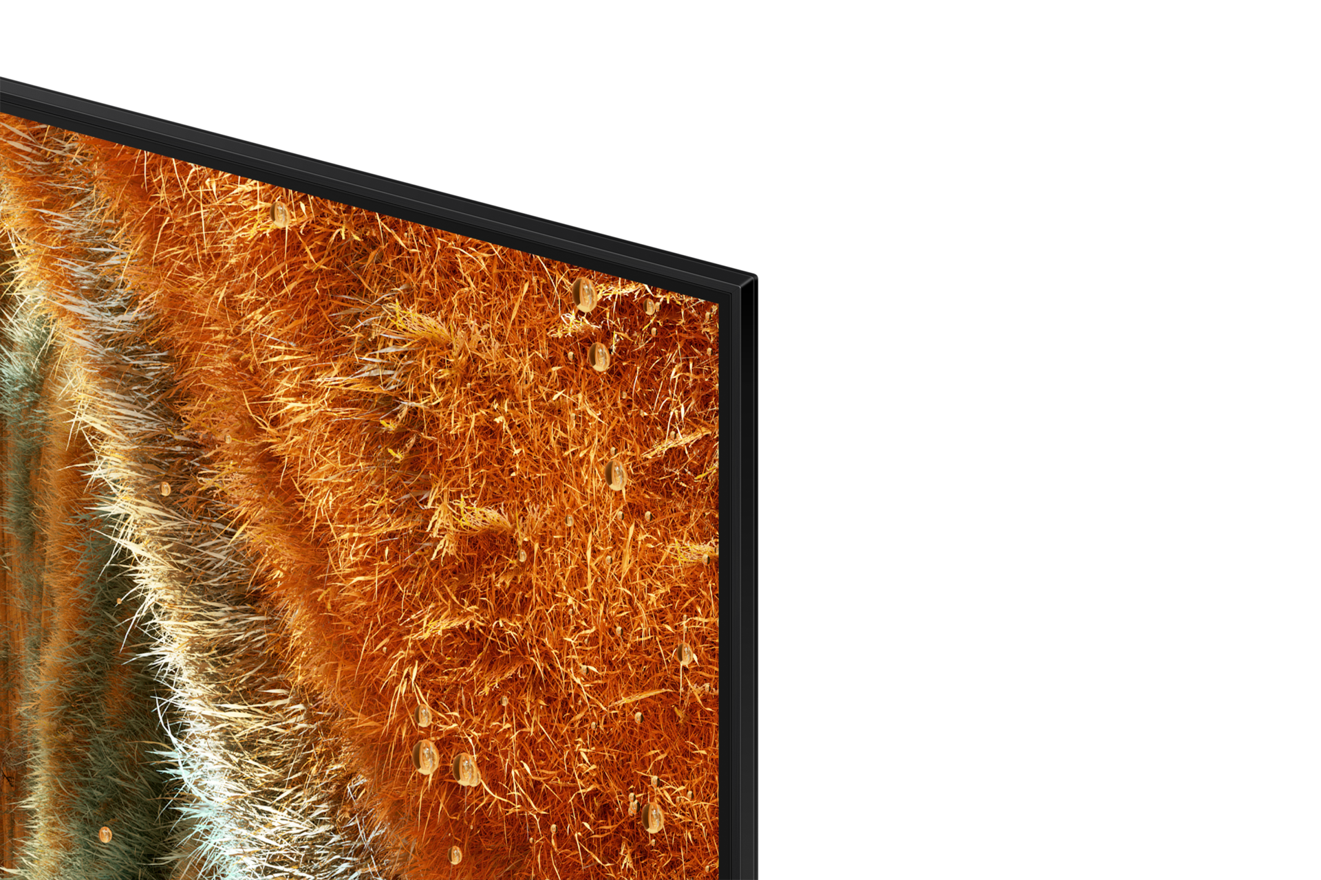 [détá~íl Bl~áck]