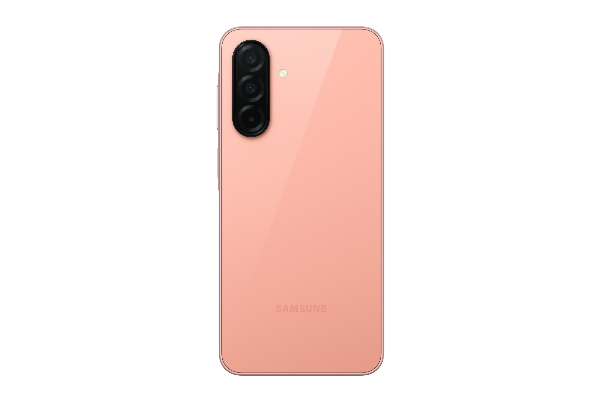 back Peach Pink