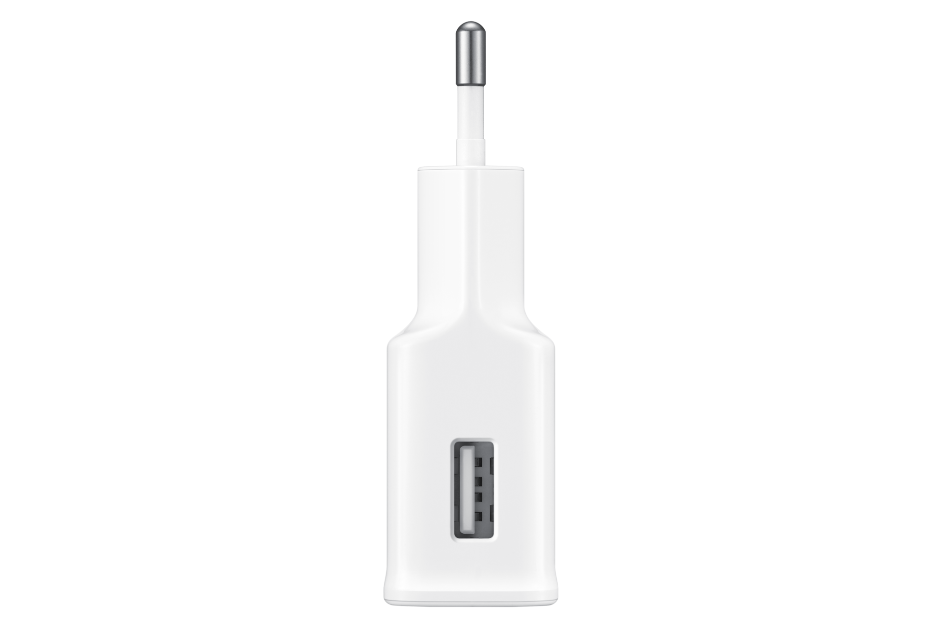 dynamic white