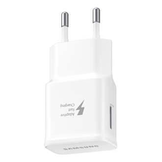 dynamic white
