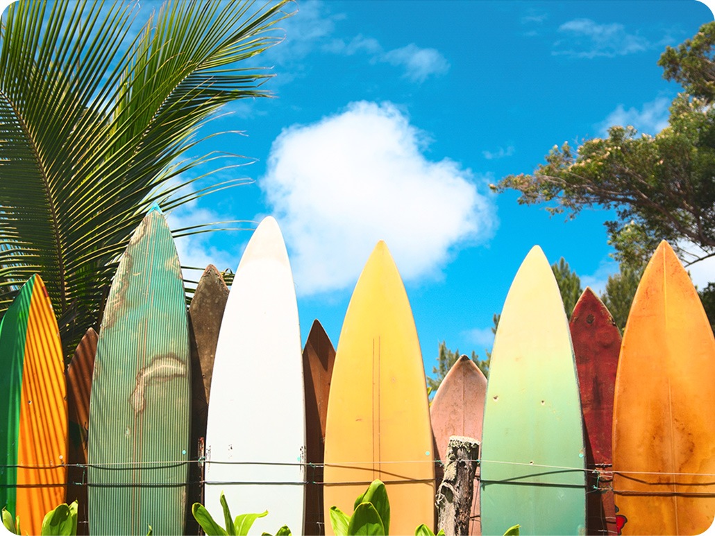 Wide angle icon activated, the shot includes fewer surfboards and a narrower shot that only includes a little of the sky and surroundings.