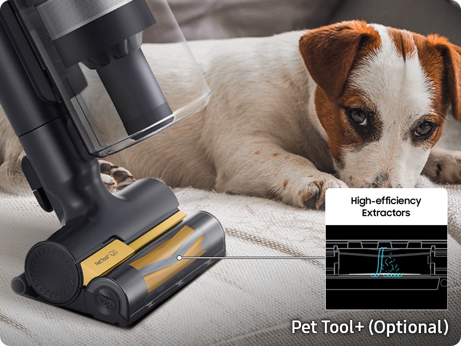 A Jet 95 with the Pet Tool+(Optional) cleans the sofa next to a dog. The brushs rubber nozzle and bristles are high-efficiency extractors, picking up all the pet hairs.