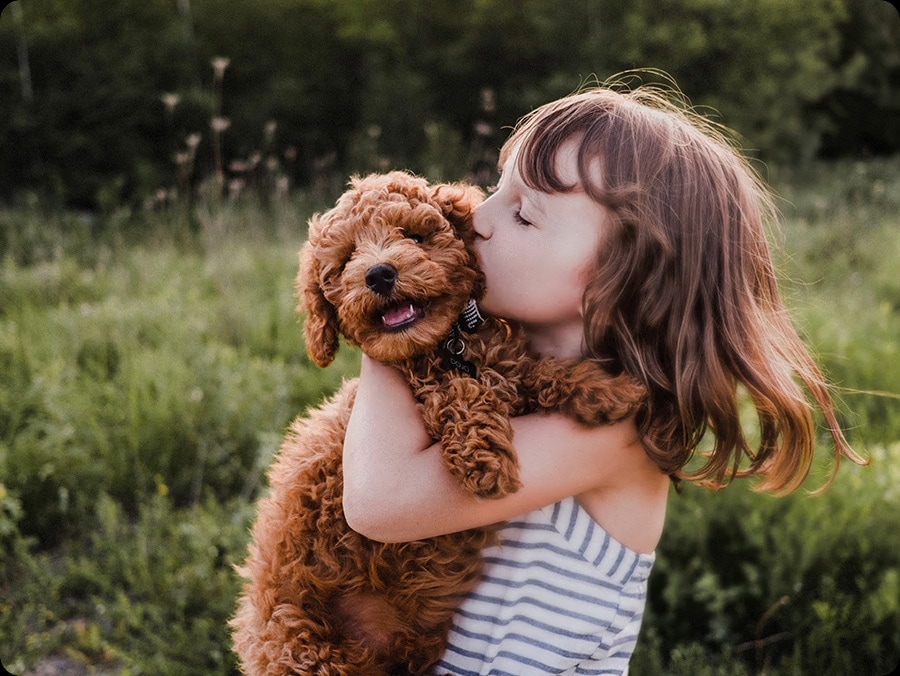 Image of a little girl kissing a puppy. The NQ4 AI Gen2 Processor appears on the photo and enhances several details, including the girl’s hair and clothes and the puppy’s face. The result is a much sharper image where subtle details are visible.