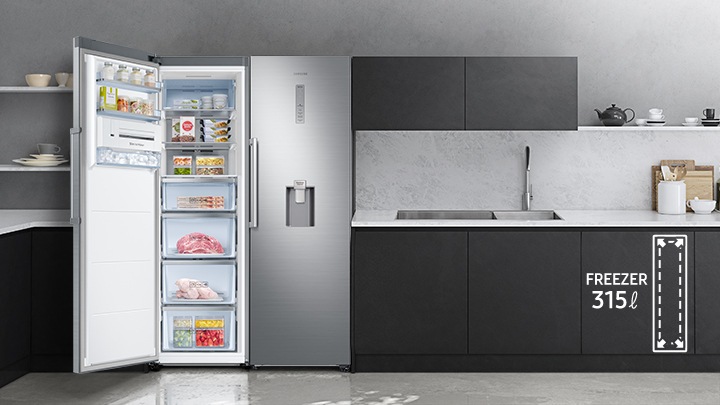 One Door Freezer 315L Net Capacity Samsung Levant