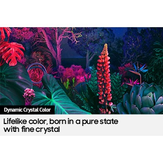 Crystal UHD TV BU8000 with Dynamic Crystal Color can deliver full range of color
