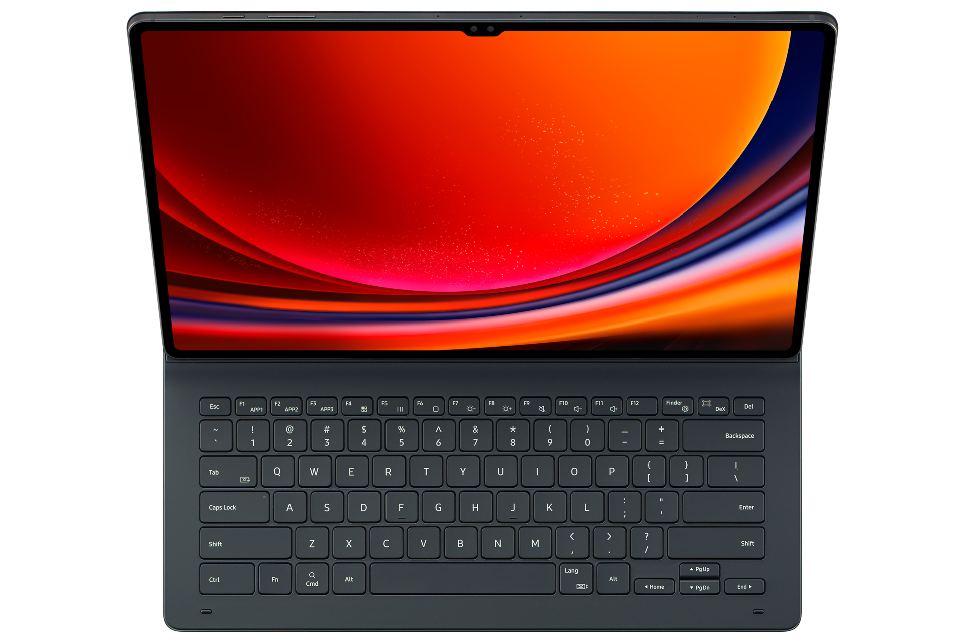 dynamic4 Black