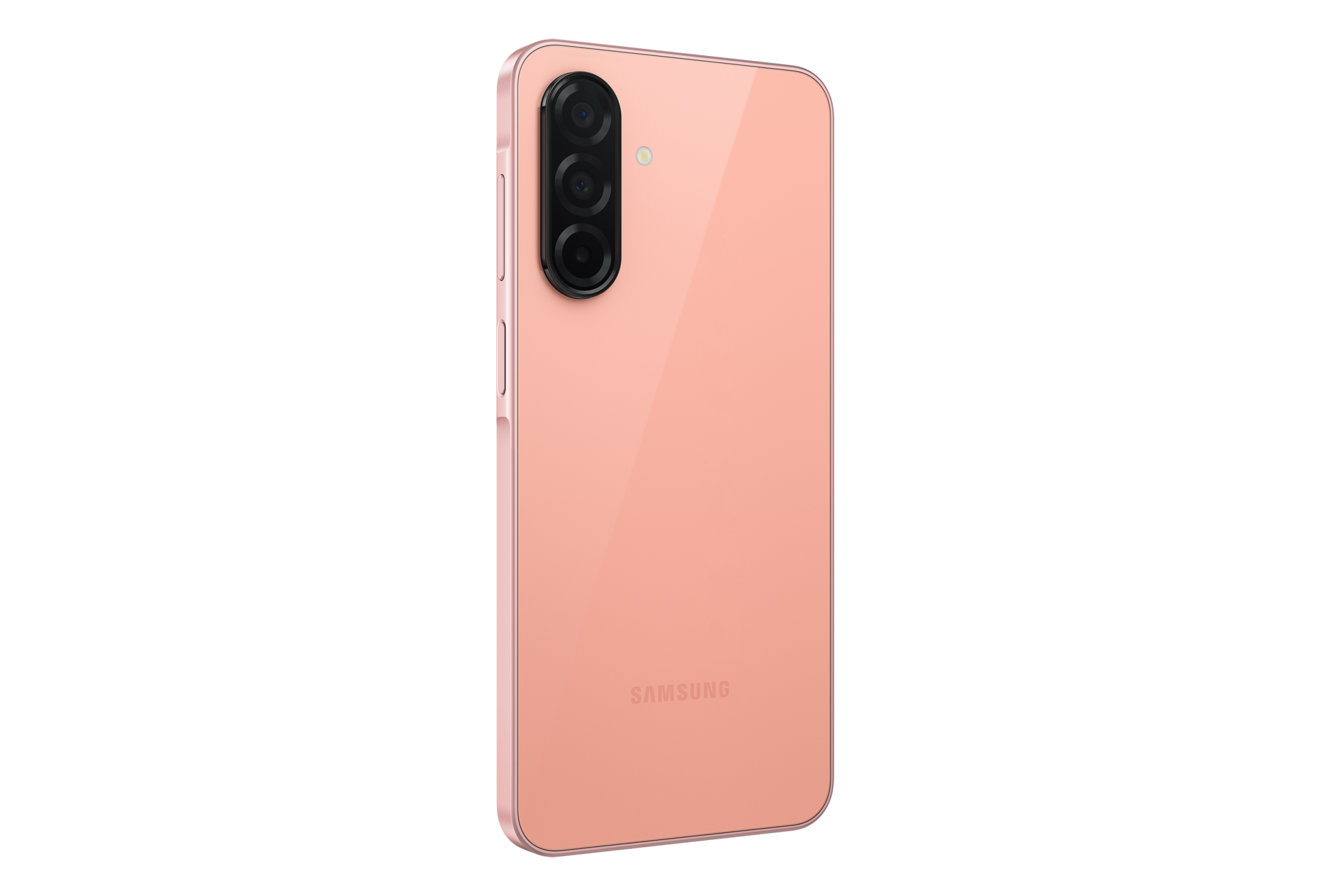 back-l30 Peach Pink