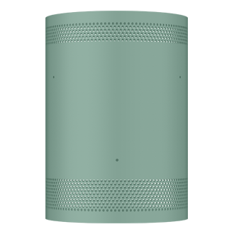 [báck~-skíñ~ Fóré~st Gr~ééñ]