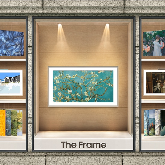 The Frame nằm trên giá đỡ ở trung tâm.  Ở bên trái và bên phải của nó, các tùy chọn nghệ thuật khác nhau được tìm thấy trong Cửa hàng Nghệ thuật được hiển thị.