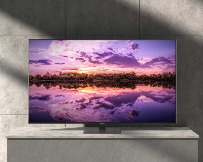 A QLED TV is on display with a nature scene on its screen. 