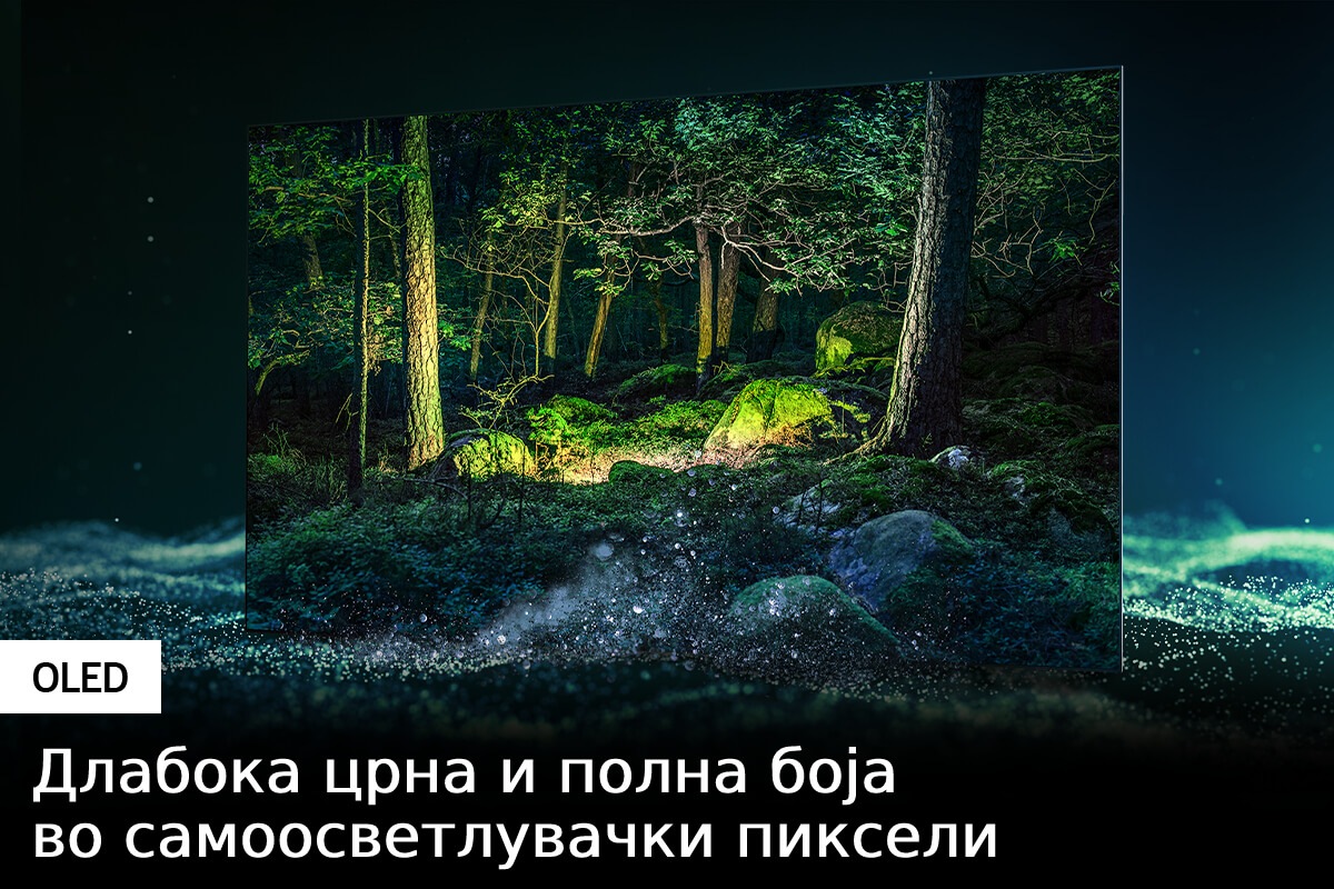 Samsung OLED ТВ S95B со самоосветлувачки пиксели ги открива најдлабоките црни нијанси, како и полните нијанси на сите бои.