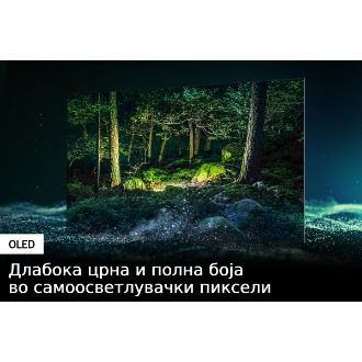 Samsung OLED ТВ S95B со самоосветлувачки пиксели ги открива најдлабоките црни нијанси, како и полните нијанси на сите бои.