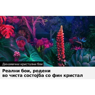 Crystal UHD ТВ BU8000 со динамични кристални бои може да испорача целосен спектар на бои