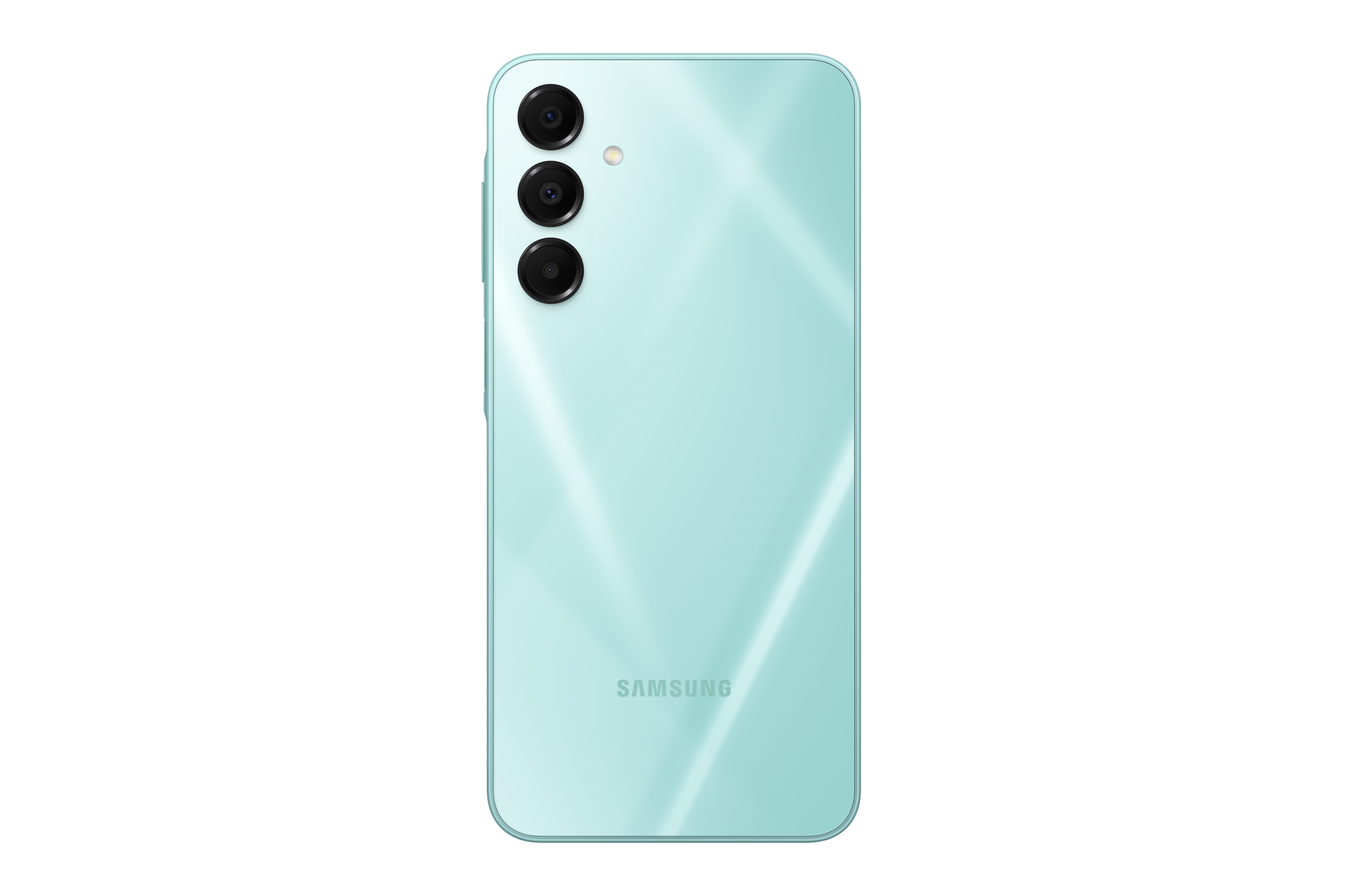 back Light Green
