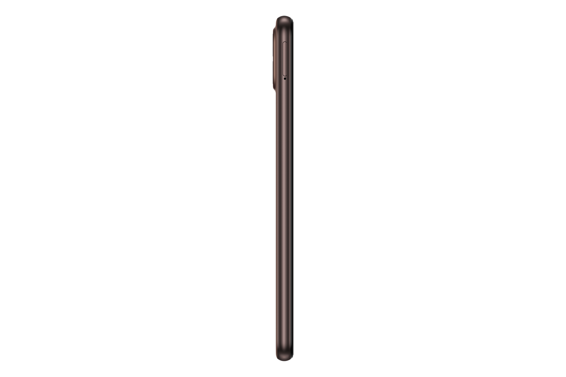 side-l Brown