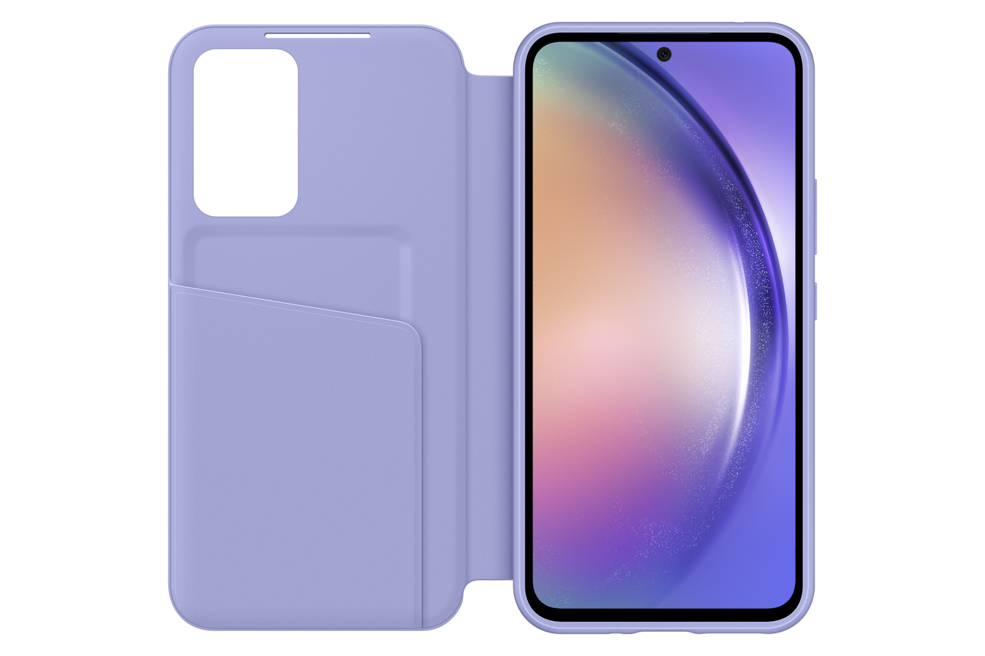 front-open Blueberry