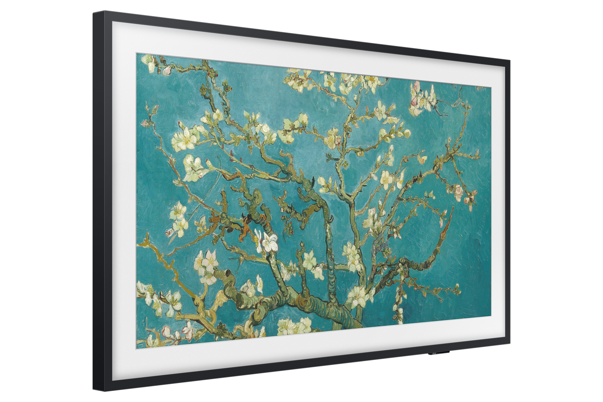 [l-pér~péct~ívé B~láck~]