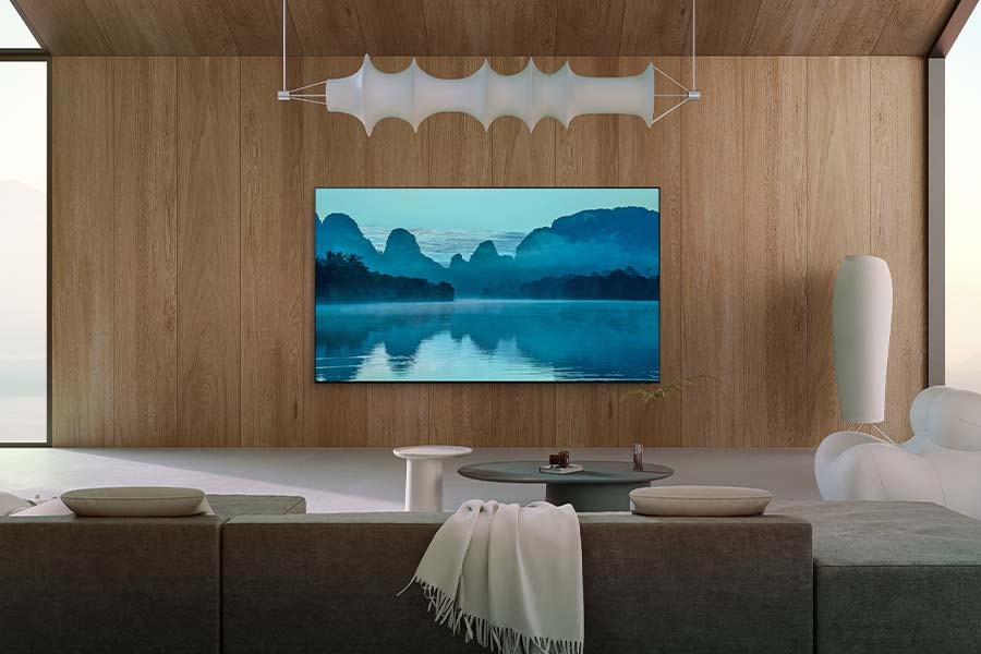 QN85QN800DFXZX Lifestyle