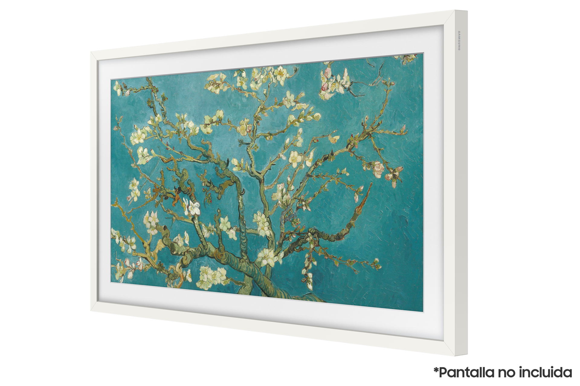 [r-pér~spéc~tív W~híté~]